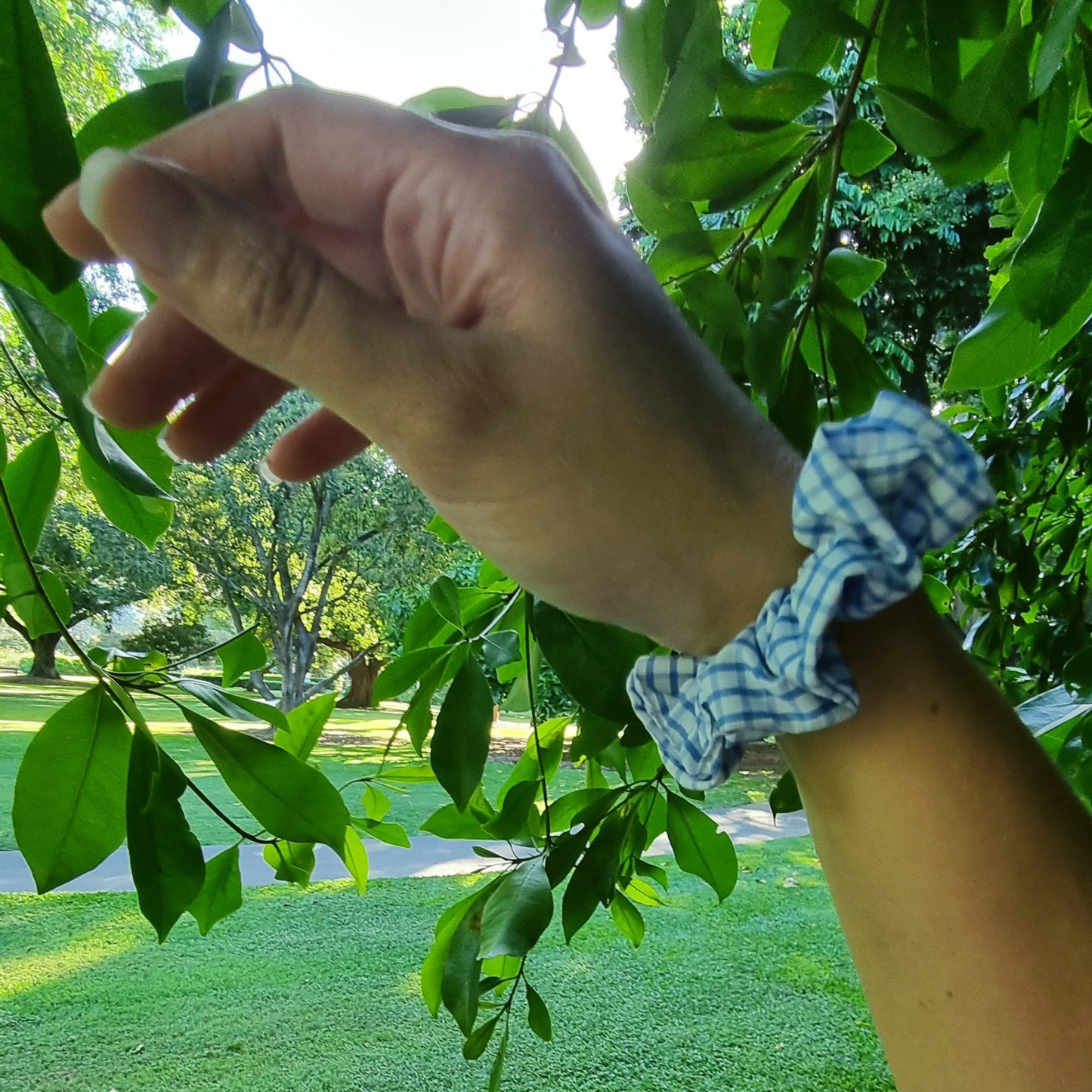 Dorothy Scrunchie