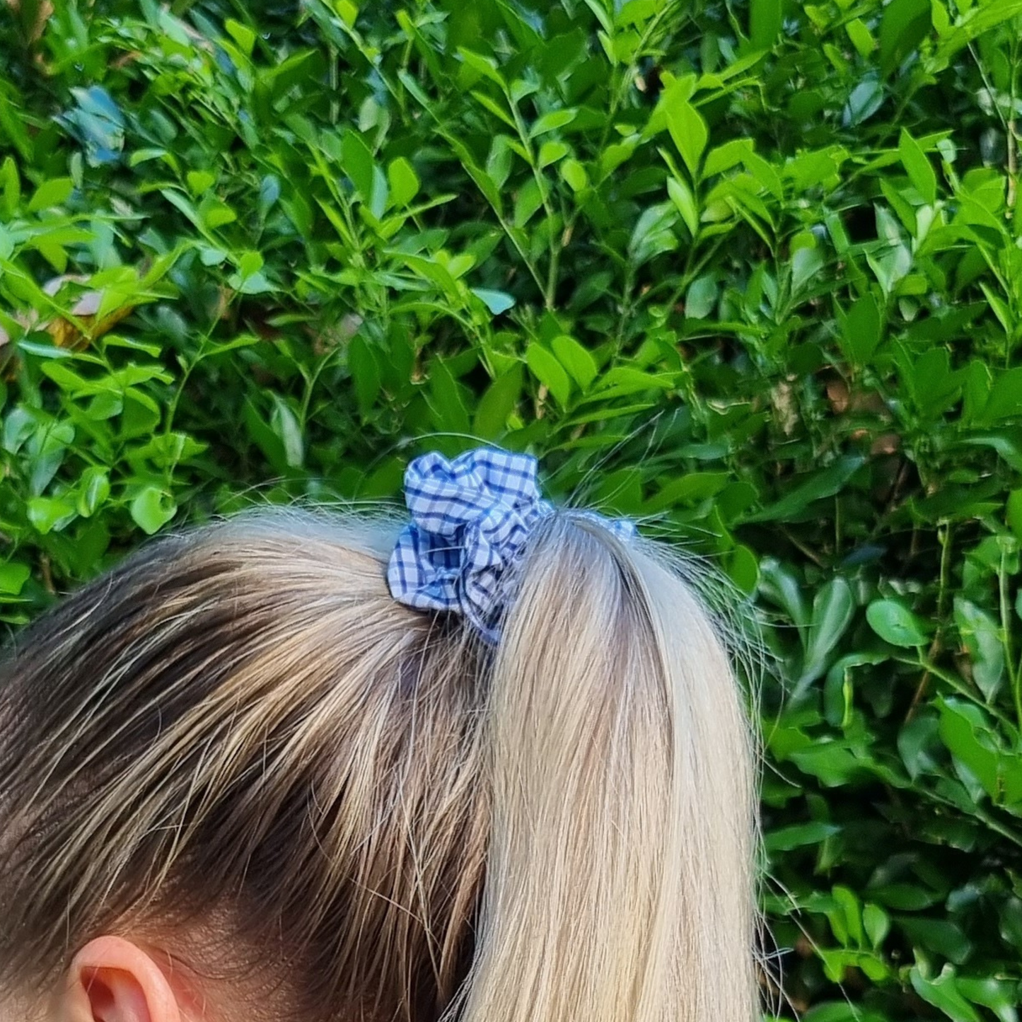 Judy Scrunchie