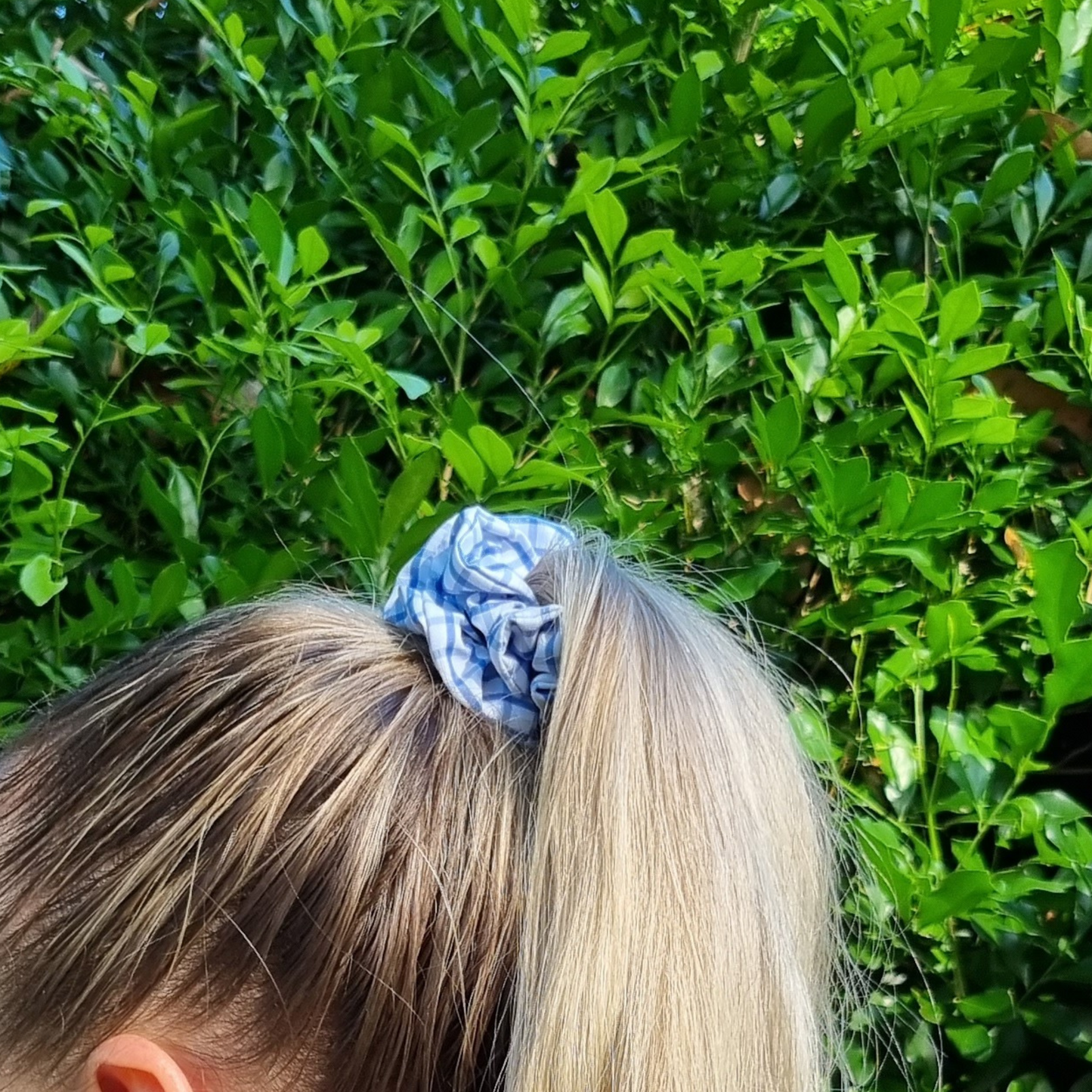 Toto Scrunchie